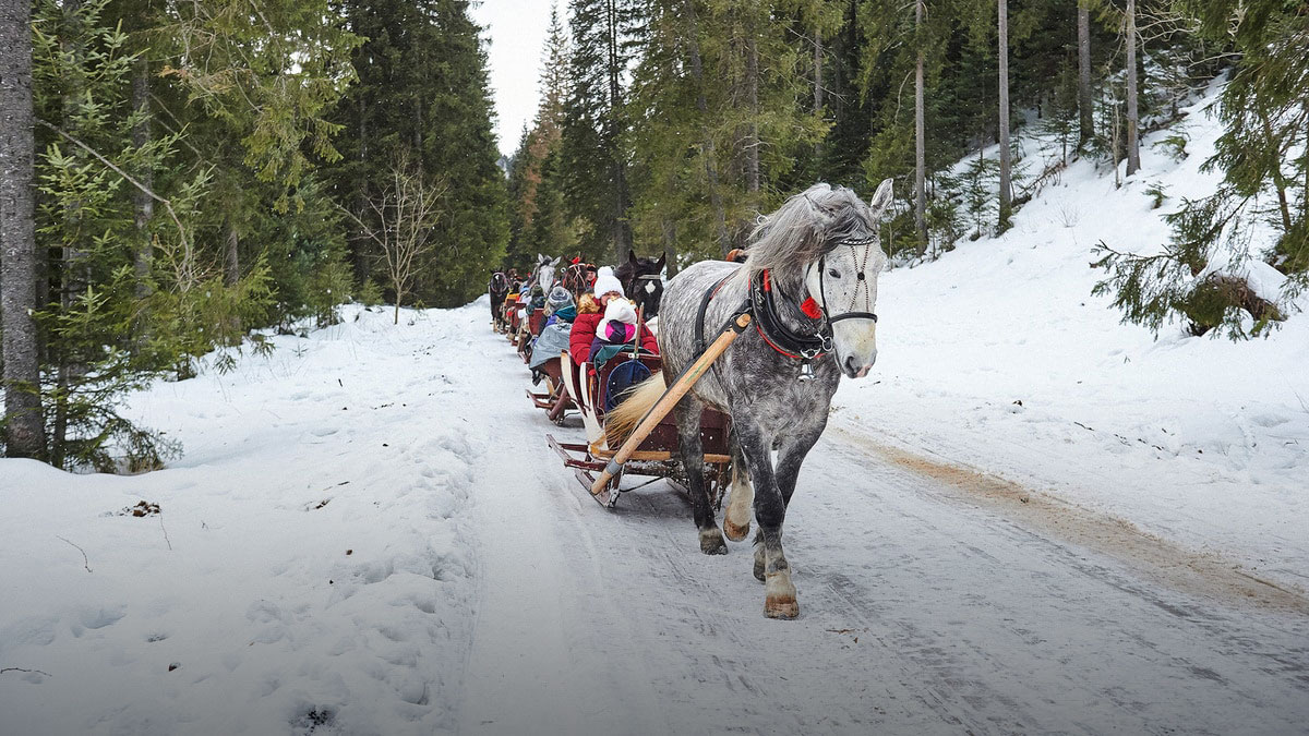 chocholowska-slide-kulig-w-dolinie-chocholowskiej